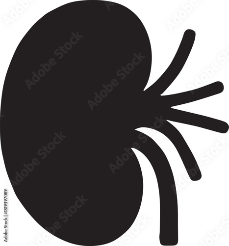 Minimalist Black Kidney Vector for Health and Wellness