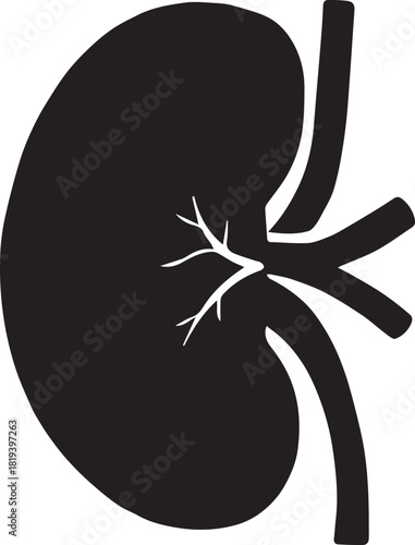 Minimalist Black Kidney Vector for Health and Wellness