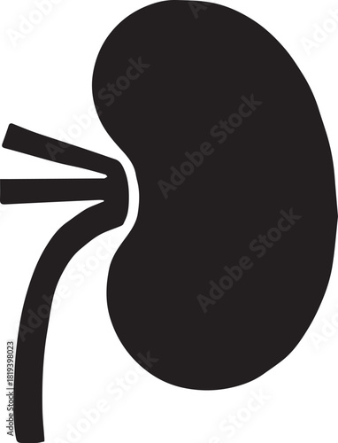 Minimalist Black Kidney Vector for Health and Wellness