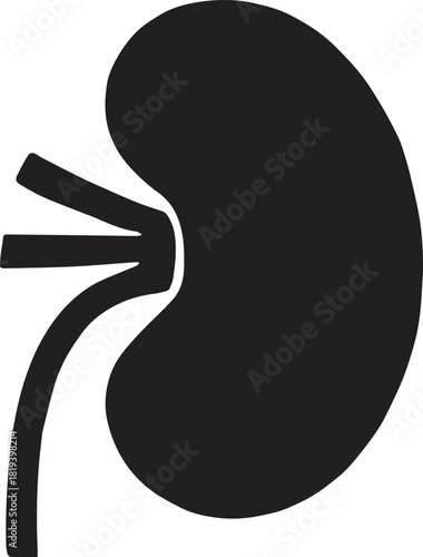 Minimalist Black Kidney Vector for Health and Wellness