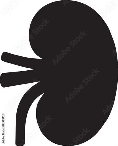 Minimalist Black Kidney Vector for Health and Wellness