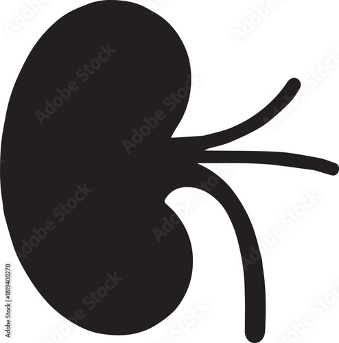 Minimalist Black Kidney Vector for Health and Wellness