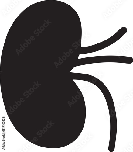 Minimalist Black Kidney Vector for Health and Wellness