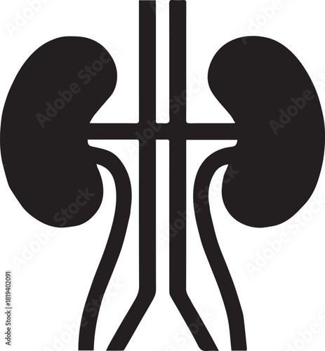 Minimalist Black Kidney Vector for Health and Wellness