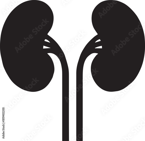 Minimalist Black Kidney Vector for Health and Wellness