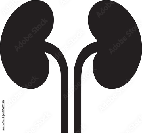 Minimalist Black Kidney Vector for Health and Wellness