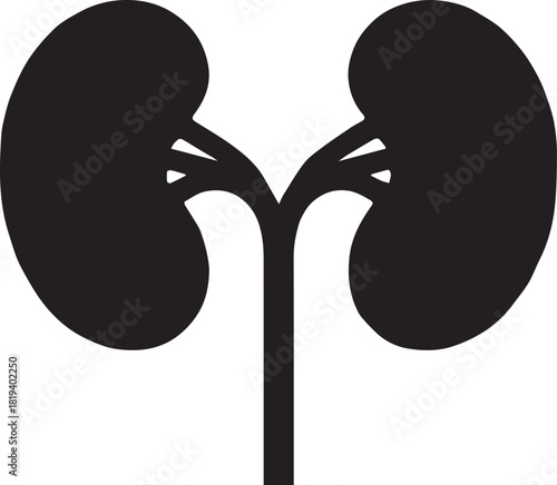 Minimalist Black Kidney Vector for Health and Wellness
