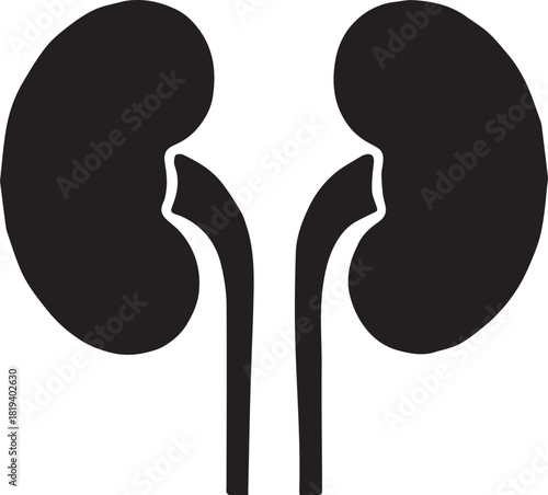 Minimalist Black Kidney Vector for Health and Wellness