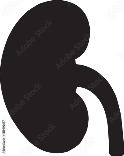 Minimalist Black Kidney Vector for Health and Wellness