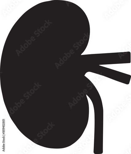 Minimalist Black Kidney Vector for Health and Wellness