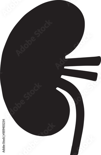 Minimalist Black Kidney Vector for Health and Wellness