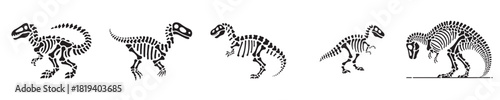 dinosaur skeleton silhouette vector