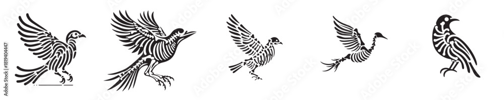 Obraz premium bird skeleton silhouette vector
