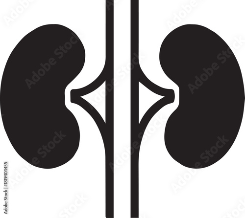 Minimalist Black Kidney Vector for Health and Wellness