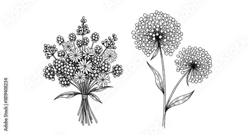 Vintage hand-drawn illustration featuring a rustic bouquet of berries and small flowers alongside two elegant spherical floral plants.