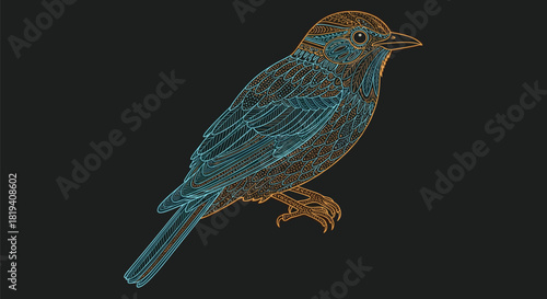 Stylized bird illustration featuring intricate patterns and fine lines in contrasting cyan and orange colors on a dark background.