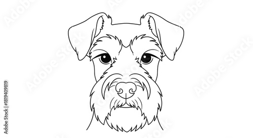 A black and white line art portrait of a Miniature Schnauzer dog's face with its characteristic beard and eyebrows.