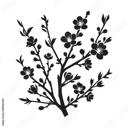 “Black Blossom Branch Clipart for Design Projects”