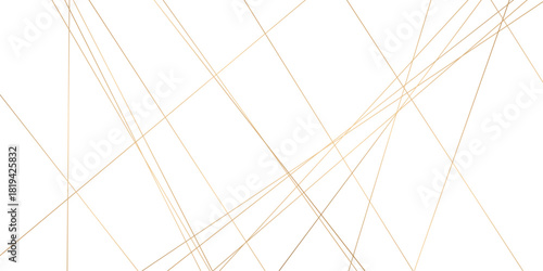 Abstract background with lines. Golden lines on White paper. Line wavy abstract vector technology line pattern background.