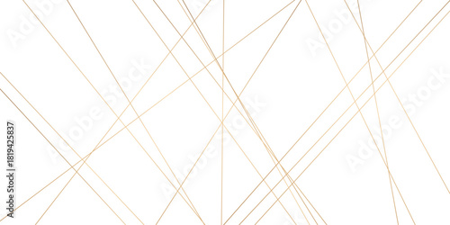 Abstract background with lines. Golden lines on White paper. Line wavy abstract vector technology line pattern background.