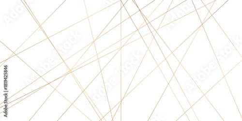 Abstract background with lines. Golden lines on White paper. Line wavy abstract vector technology line pattern background.