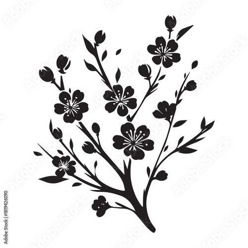 “Black Blossom Branch Clipart for Design Projects”