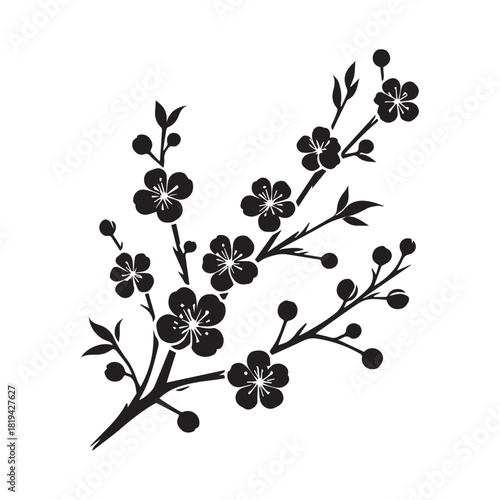 “Black Blossom Branch Clipart for Design Projects”