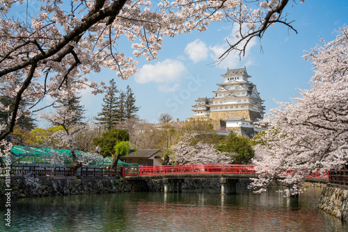 Himeji Castle, Japan, surrounded by cherry blossoms with a river and a red bridge in the foreground.