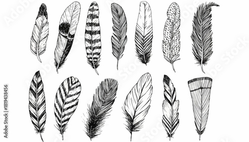 Feather Collection Detailed Black and White Vector Illustrations