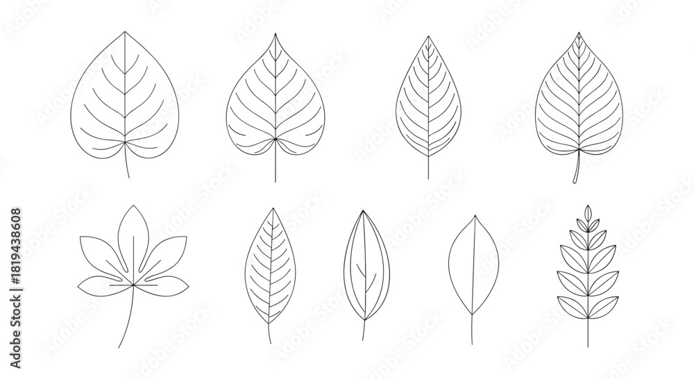Naklejka premium Collection of various types of leaves in simple line art style a botanical set representing nature ecology and plant diversity.