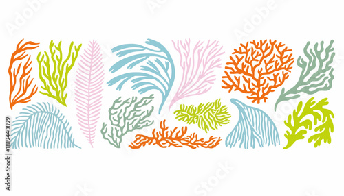 Colorful Seaweed Collection Marine Plant Illustrations for Graphic Design