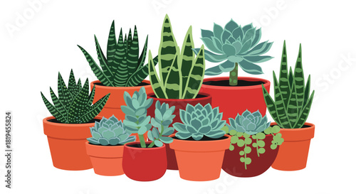 Charming illustration of a diverse collection of succulent plants in colorful terracotta pots for home decor concepts.