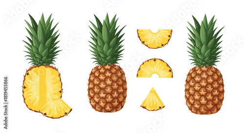 Realistic vector illustration set of a whole pineapple with its crown and various juicy slices on a white background.
