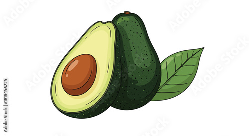 Fresh ripe avocado fruit illustration with one whole and one half showing the seed and a green leaf on a white background.