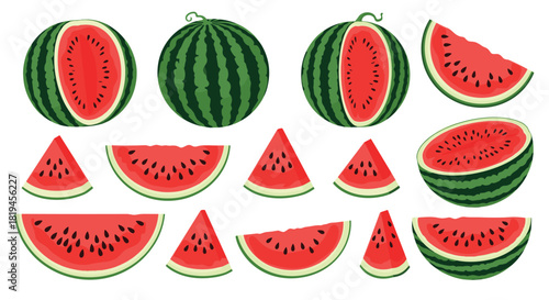 A large collection of juicy watermelon vector illustrations including whole fruit halves slices and wedges for summer designs.