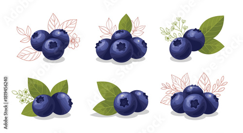 A beautiful collection of ripe blueberry vector illustrations with green leaves and delicate line art for a fresh berry design.