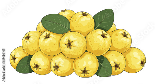 A large pile of fresh yellow quince fruits with green leaves stacked together in a detailed and realistic vector illustration.