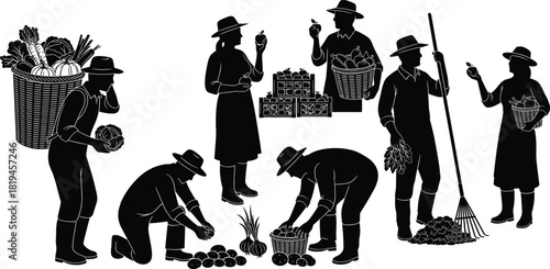 Silhouette Vector of Farmers Harvesting Vegetables, Sorting Produce, and Gardening with Tools in Traditional Agricultural Scenes