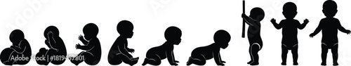 Silhouette Vector Illustrating Baby Development Stages from Sitting and Crawling to Standing, Walking, and Early Movement