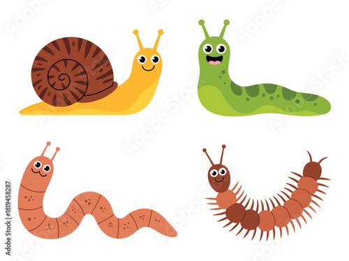 Cartoon illustrations of different invertebrates on a white background.