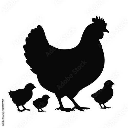 Silhouette of Single Chicken with Chicks Isolated on White Background Vector Illustration