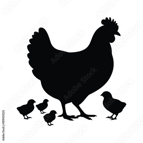 Silhouette of Single Chicken with Four Chicks Isolated on White Background Vector Illustration