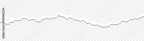 Ripped paper strips with rough torn edges