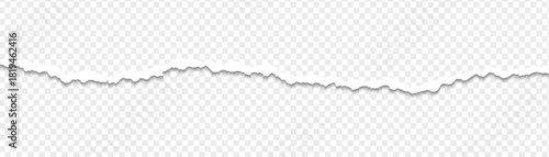 Ripped paper strips with rough torn edges