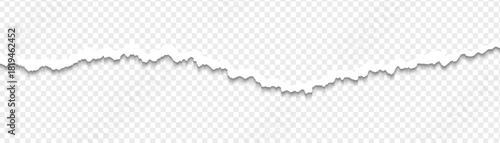 Ripped paper strips with rough torn edges