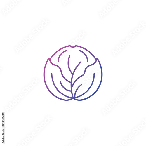 Stylized cabbage vegetable icon with gradient outline and artistic design