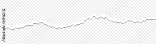 Ripped paper strips with rough torn edges