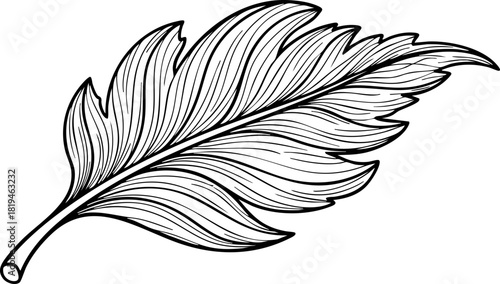 Elegant vintage feather illustration evoking lightness, freedom, and natural beauty for sophisticated design projects and branding.