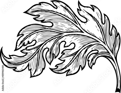Elegant black and white acanthus leaf flourish adds sophisticated vintage detail to any design project needing classic ornamentation and timeless appeal.
