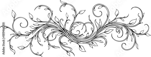 Elegant vintage flourish design with swirling vines and delicate leaves, perfect for decorative borders and invitations